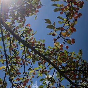 Meet your Posher, Chloe